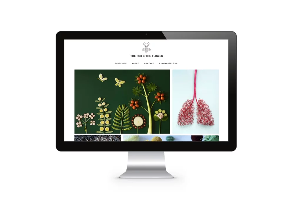 Desktopansicht der Webseite der Fotografin und Illustratorin Eva Häberle mit Bildern von Pflanzen