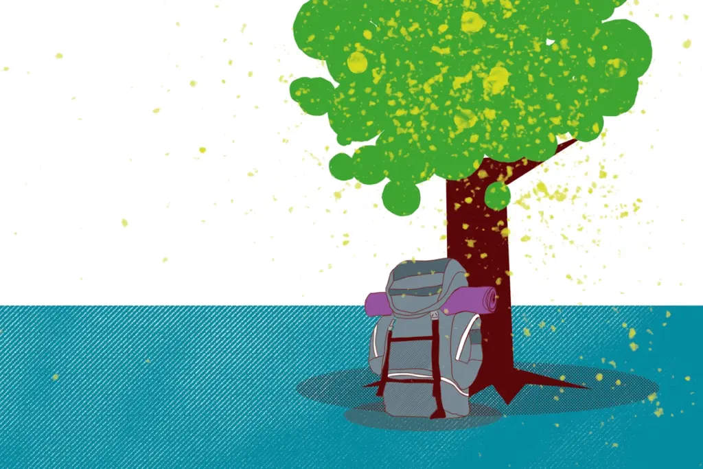 Illustration eines grauen Rucksacks mit violetter Isomatte unter einem Baum mit grüner Baumkrone